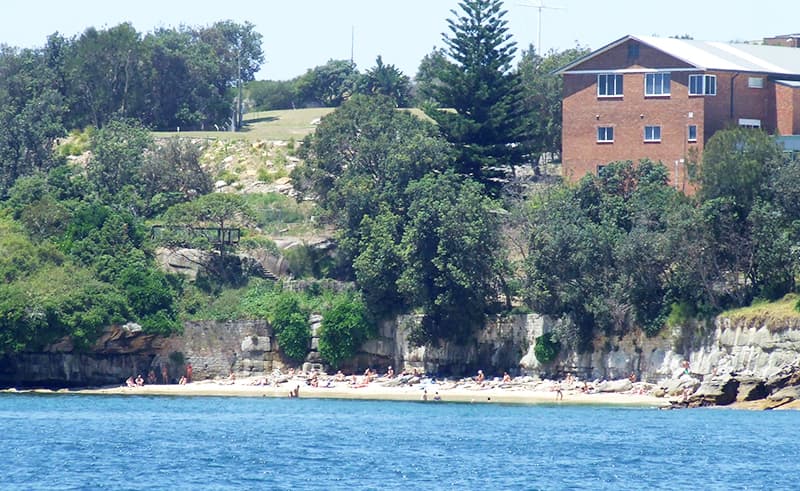 trees surrounding the Lady Bay Beach, Watsons Bay, Sydney, Australia