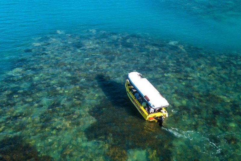 Glass Bottom Boat 