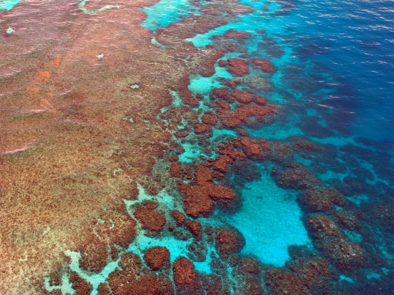 Great Barrier Reef Sceneies