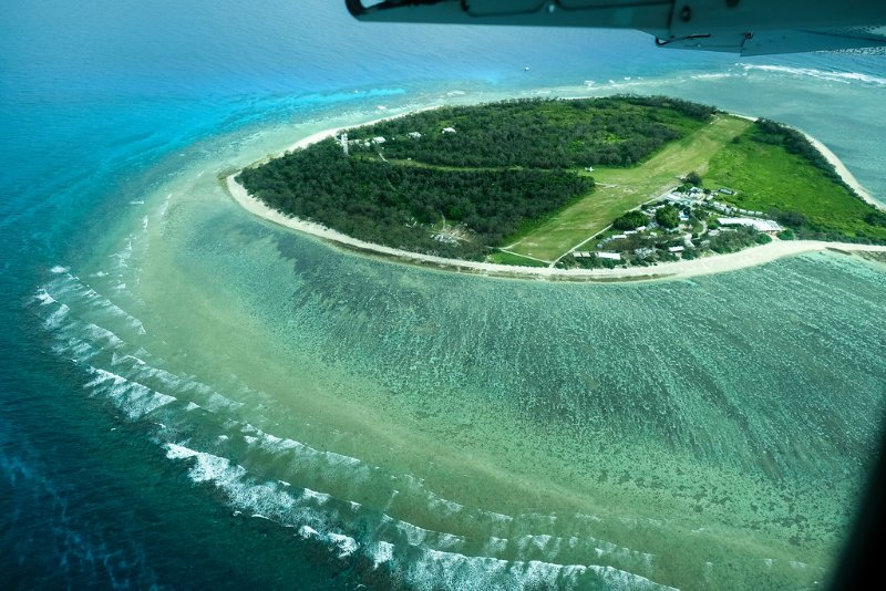 Lady Elliot Island Upclose