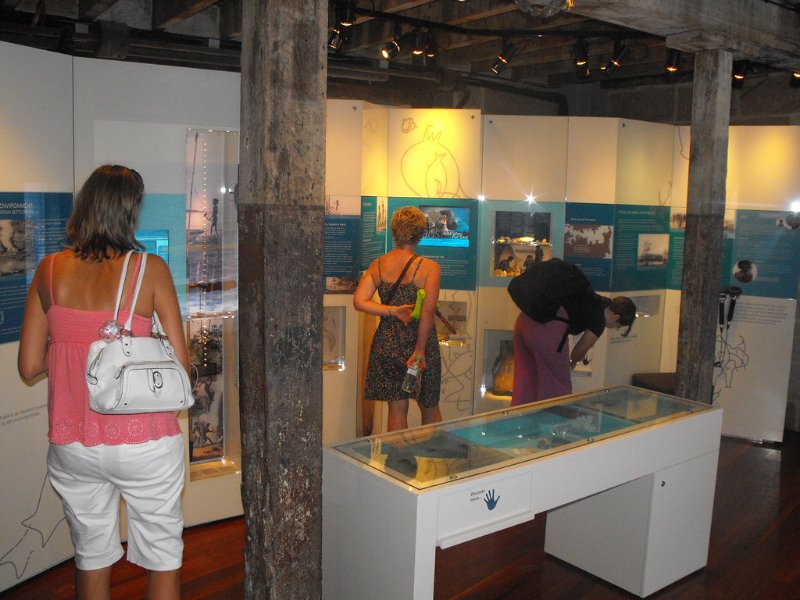 Visitors in Rocks Discovery Museum