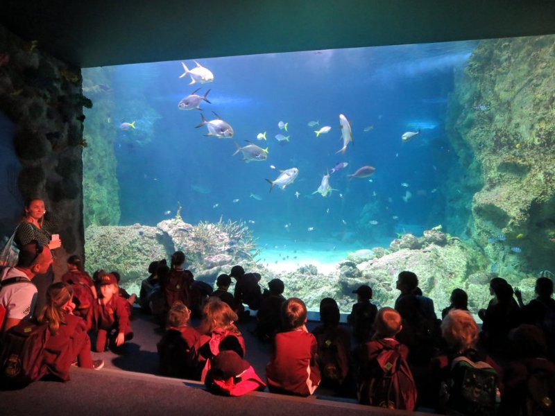 Crowd in SEA LIFE Sydney Aquarium