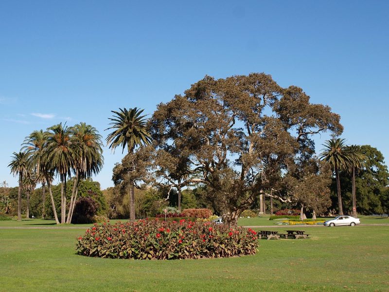 Centennial park in Sydney 