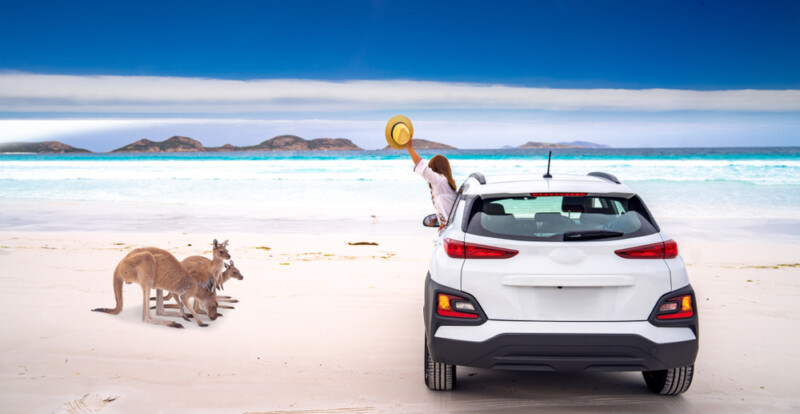 Kangaroo family at Lucky Bay beach