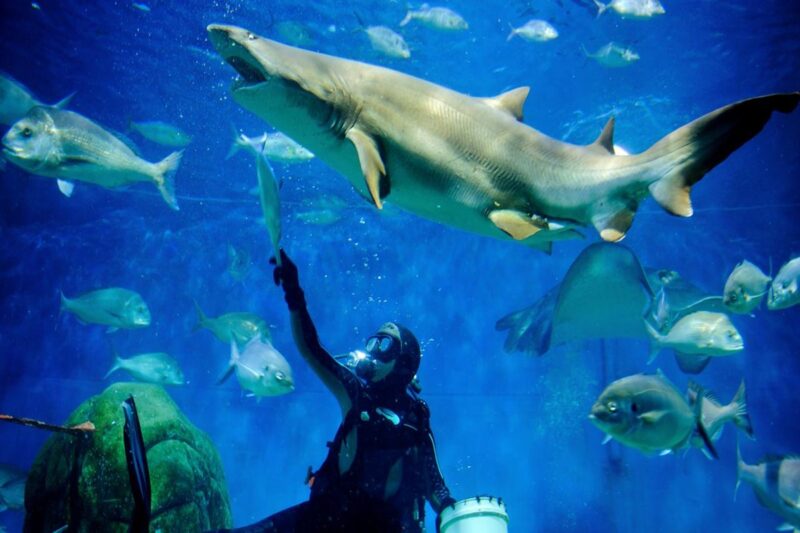 Melbourne Aquarium
