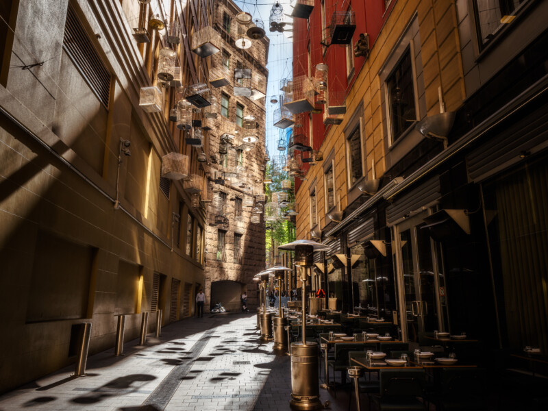 Forgotten Songs is an Art installation at Angel Place Laneway in Sydney, Australia aimed to address climate change, showing recordings of bird species dislocated by urban development