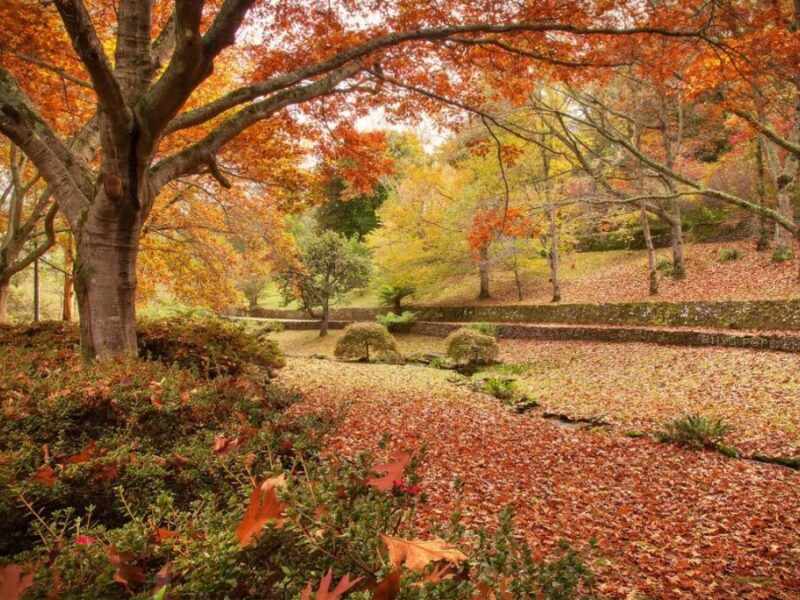 What is the best time to visit Blue Mountains? 3 Autumn