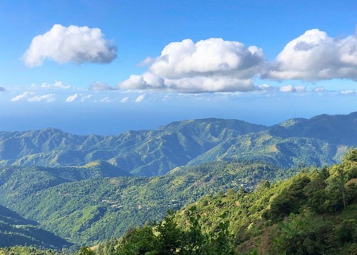 What are the Blue Mountains of Jamaica known for? 1 What are the Blue Mountains of Jamaica known for?