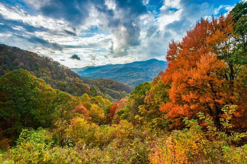 Is there a train to see fall foliage in Blue Ridge?