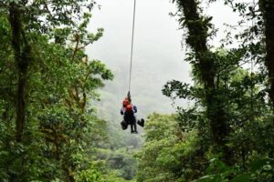 Two People Riding a Zip Line