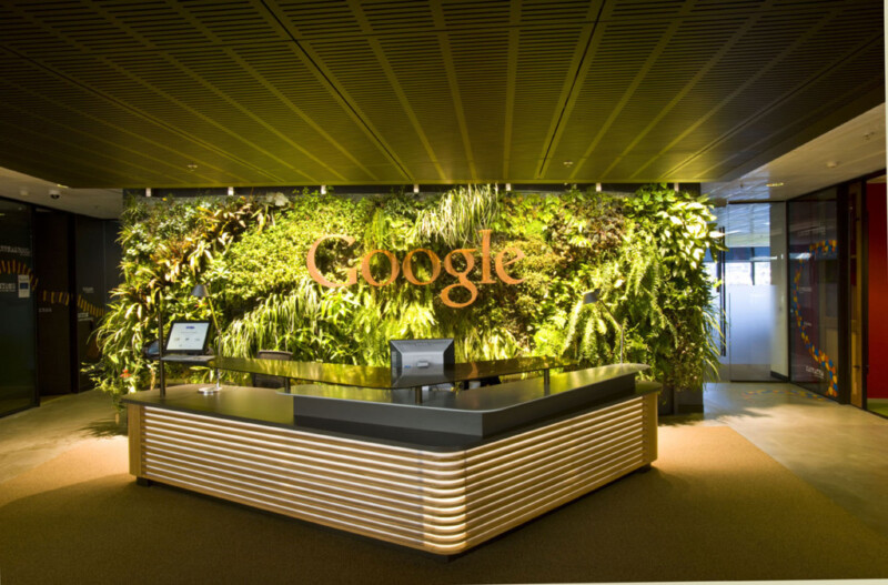 Plants at the backdrop of Google Sydney office