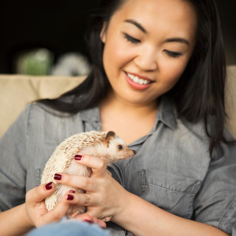 Lady holding a hedgehog in her hands