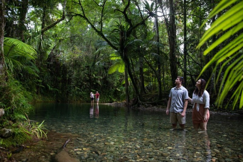 Full-day Daintree and traditional Aboriginal fishing experience