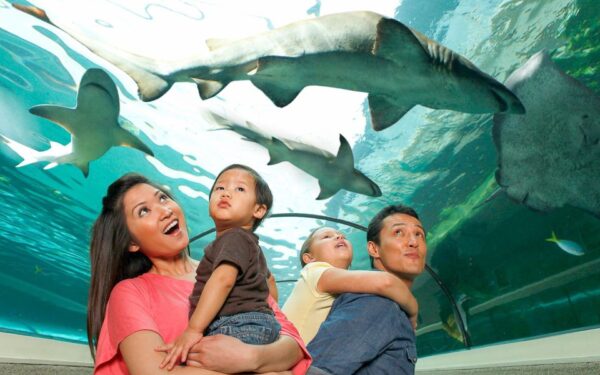 SEA LIFE Sydney Aquarium