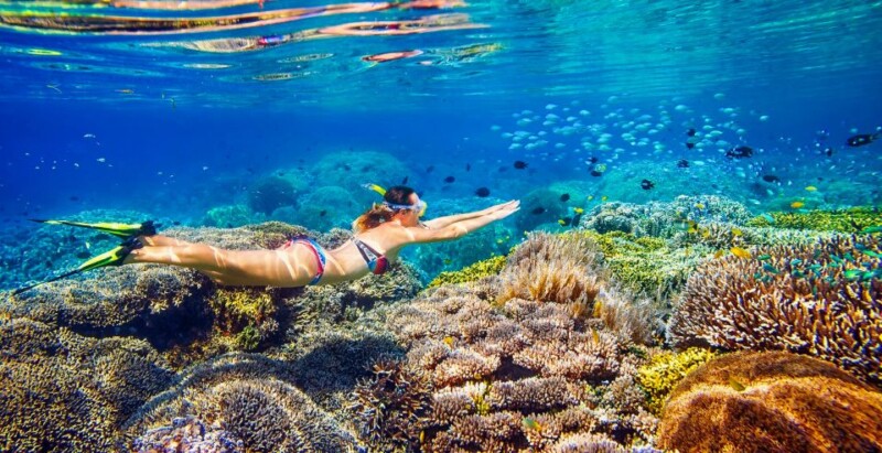 Snorkeling tour