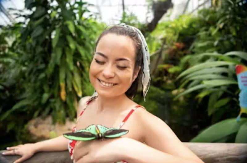 Woman with butterfly on hand