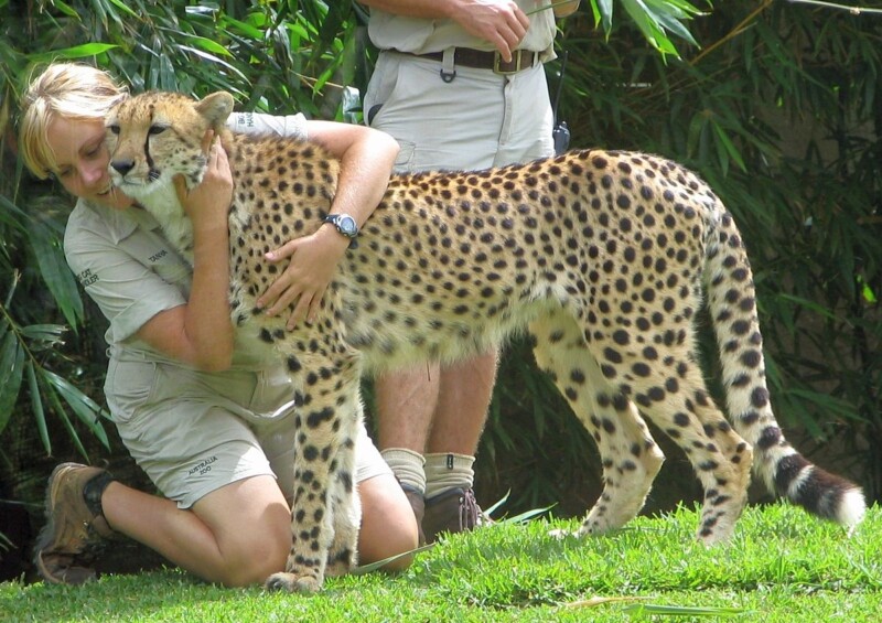 Conservation Efforts and Educational Programs in Australian Sanctuaries