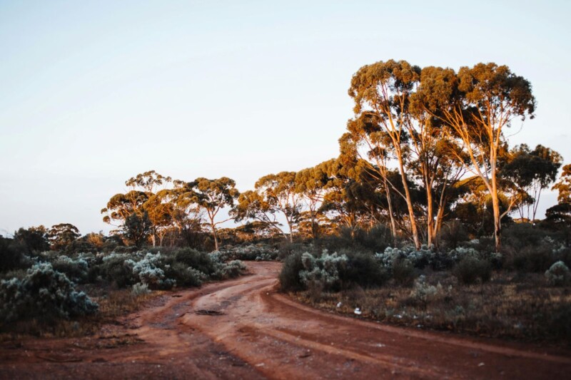 Where Can I Have a Bonfire in Sydney? Best Spots and Regulations 4 Australian Bush