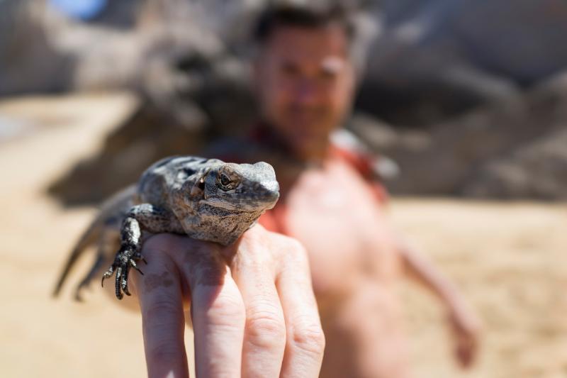 Man with Goanna on hand