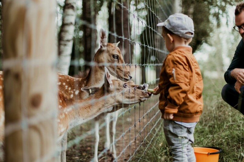 Becoming a Zoo Friend