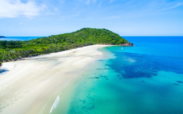 Private full day tour around Daintree and Mossman