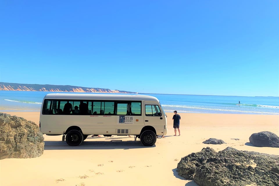Stand Up paddle wildlife tour and beach 4x4 Noosa day trip 6 Stand Up paddle wildlife tour and beach 4×4 Noosa day trip