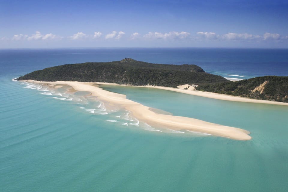 Stand Up paddle wildlife tour and beach 4x4 Noosa day trip 5 Stand Up paddle wildlife tour and beach 4×4 Noosa day trip