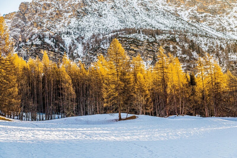 Which Snow Mountain is Closest to Sydney? Discover Your Winter Escape 1 Overview of Snowy Regions Near Sydney