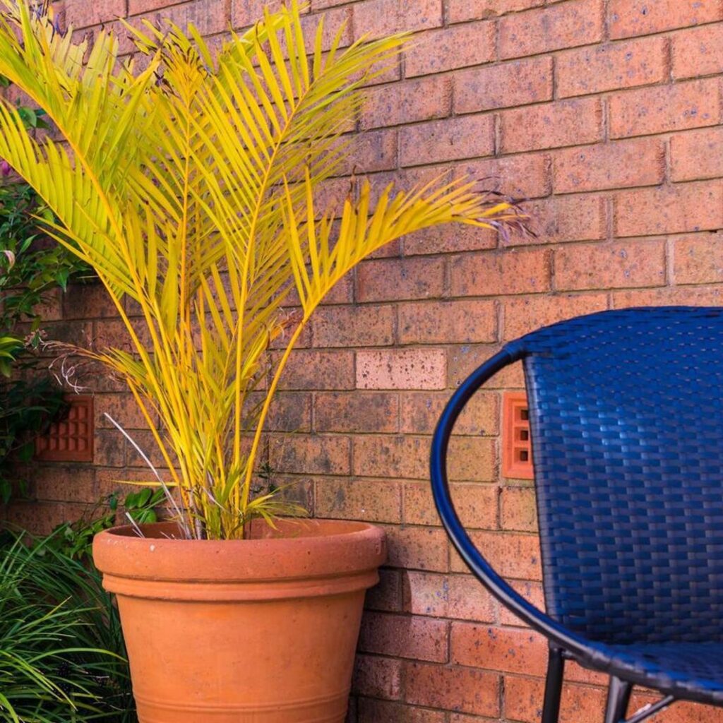 Family Stay with Idyllic Sun-drenched Courtyard 5 Family Stay with Idyllic Sun-drenched Courtyard