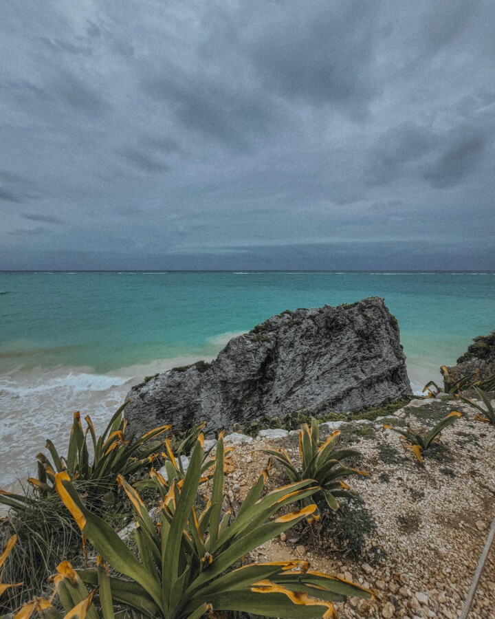 A view of the beach in Tulum