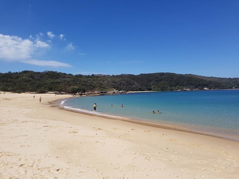 9 Hidden Swimming Spots Only Sydney Locals Know About in 2026 8 Congwong Bay's Botanical Beach