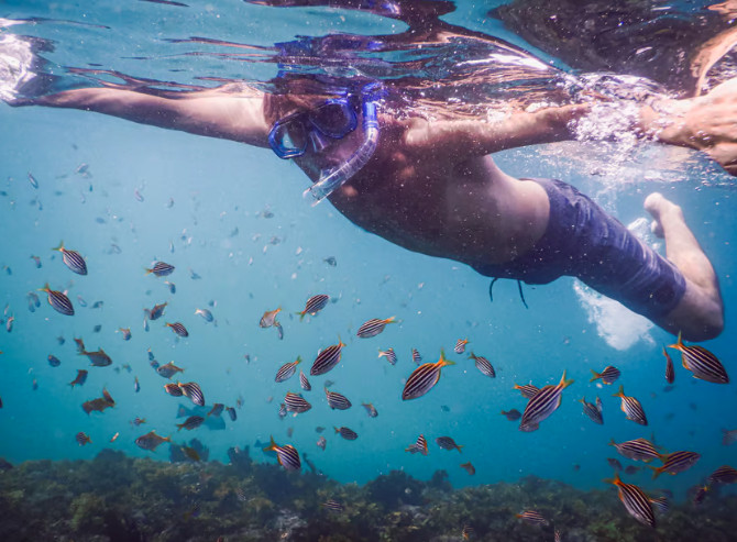 9 Hidden Swimming Spots Only Sydney Locals Know About in 2026 1 Snorkeling in Gordon Bay