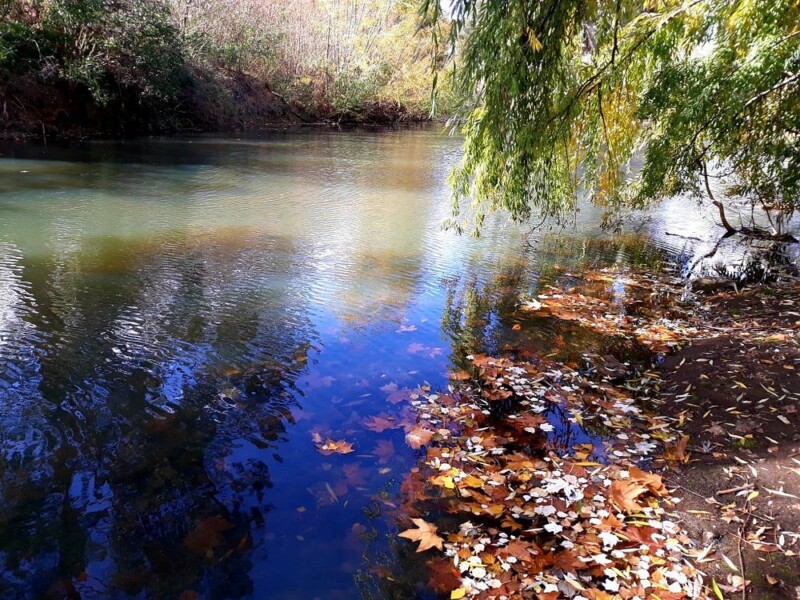 9 Hidden Swimming Spots Only Sydney Locals Know About in 2026 6 Nielsen Park's Secret Caves