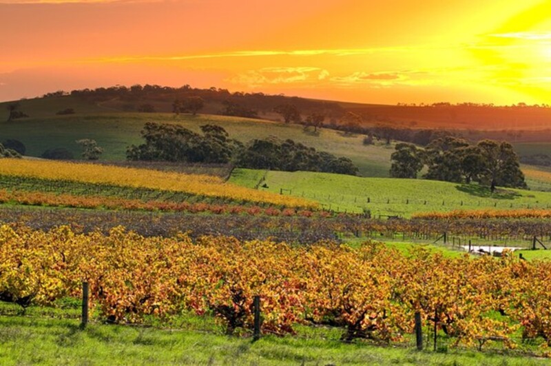 What is the difference between Sydney and Adelaide? 3 Barossa Valley