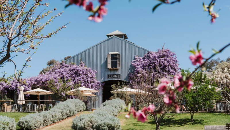 What wines is Mudgee famous for? 3 Lowe’s Winery