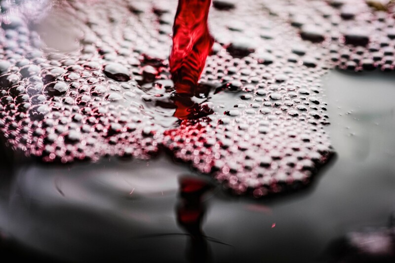 Wine Bubbles