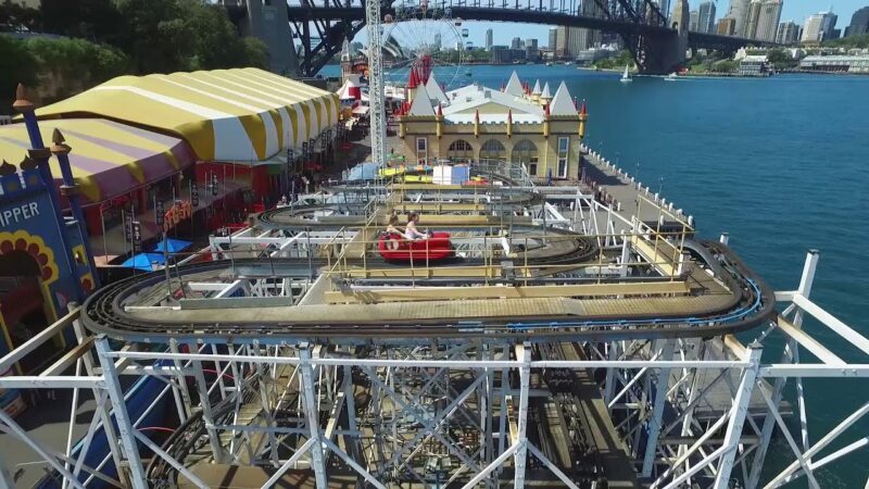 Wild Mouse