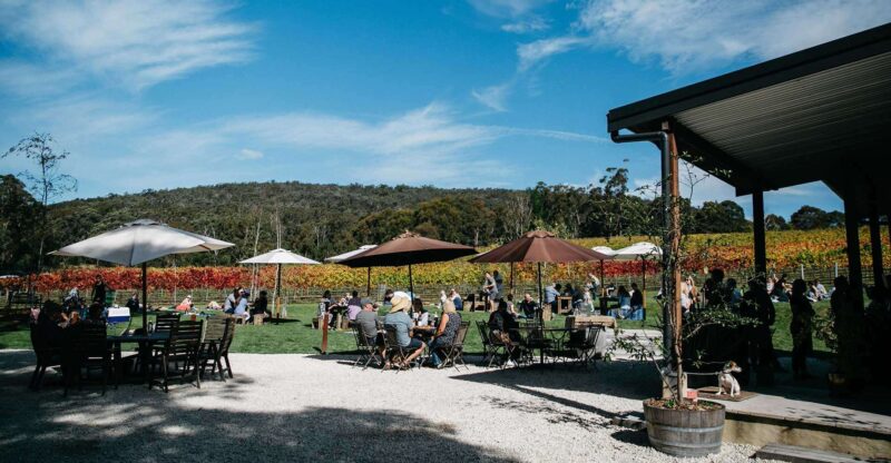 Artemis Wines