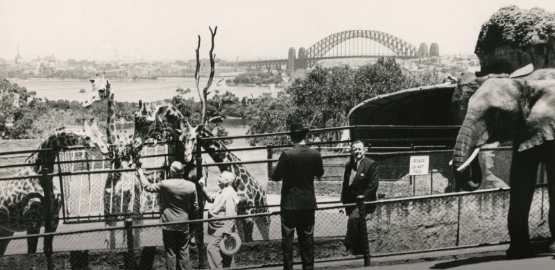 Brief History of Taronga Zoo