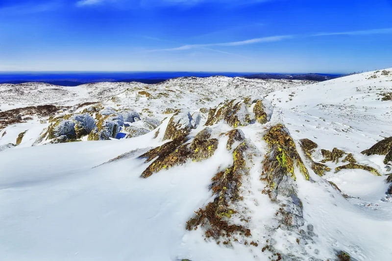 Does Australia have mountains with snow? 1 Does Australia have mountains with snow?