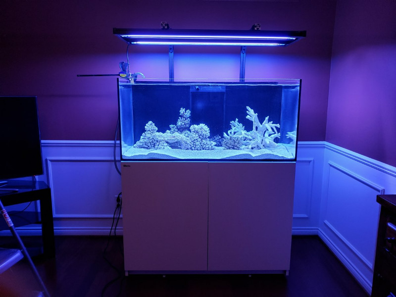 Examples of 80 20 Aluminum in Aquariums
