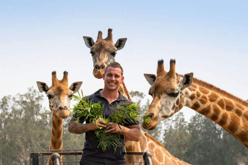 How many zoos are in NSW? 2 Mogo Zoo