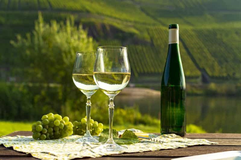 What is Montenegro's largest vineyard? 1 Montenegro Wine Culture