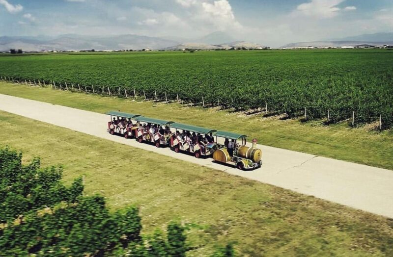 What is Montenegro's largest vineyard? 3 Plantaze Vineyard