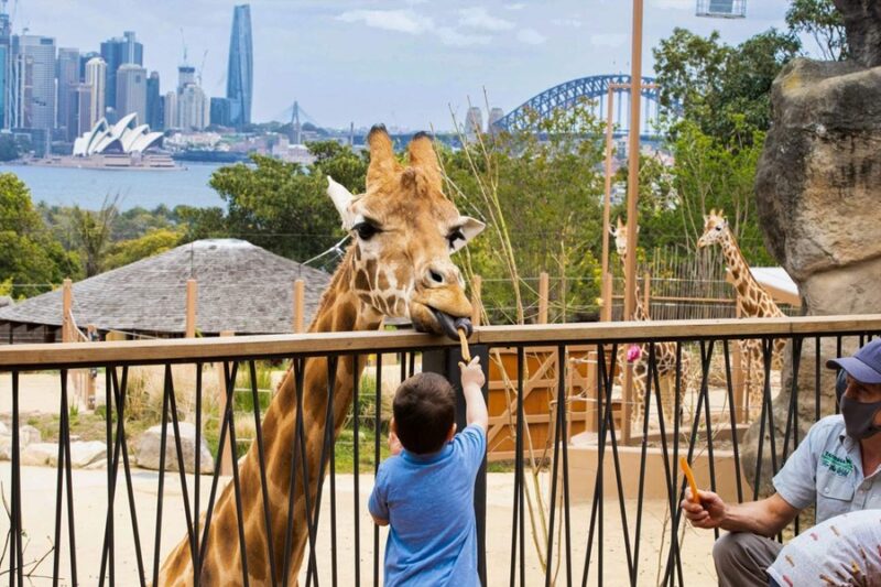 How many zoos are in NSW? 1 Taronga Zoo