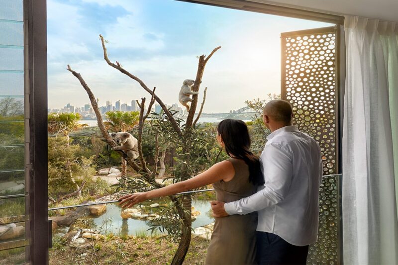 What Animals Can You See at Taronga Zoo?