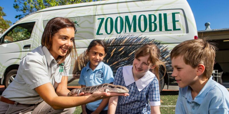 What Makes Taronga Zoo Special?