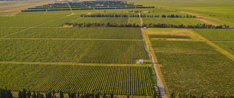 What is Montenegro's largest vineyard? 2 What is Montenegro's largest vineyard