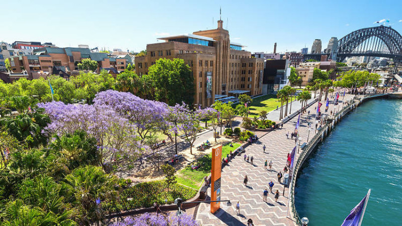 What is the best way to find a temporary apartment in Sydney