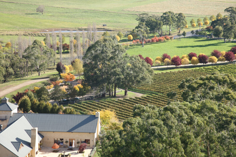 Vineyards in Bowral
